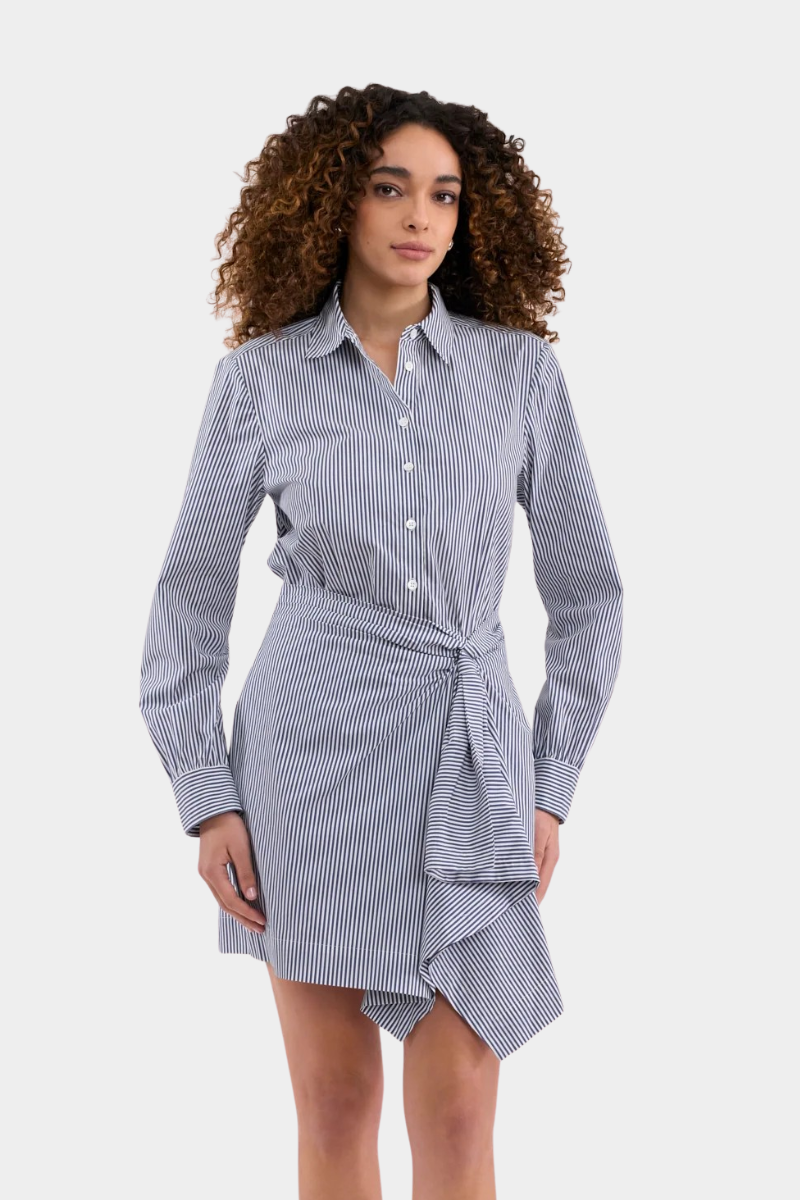 Joselene Poplin Dress
