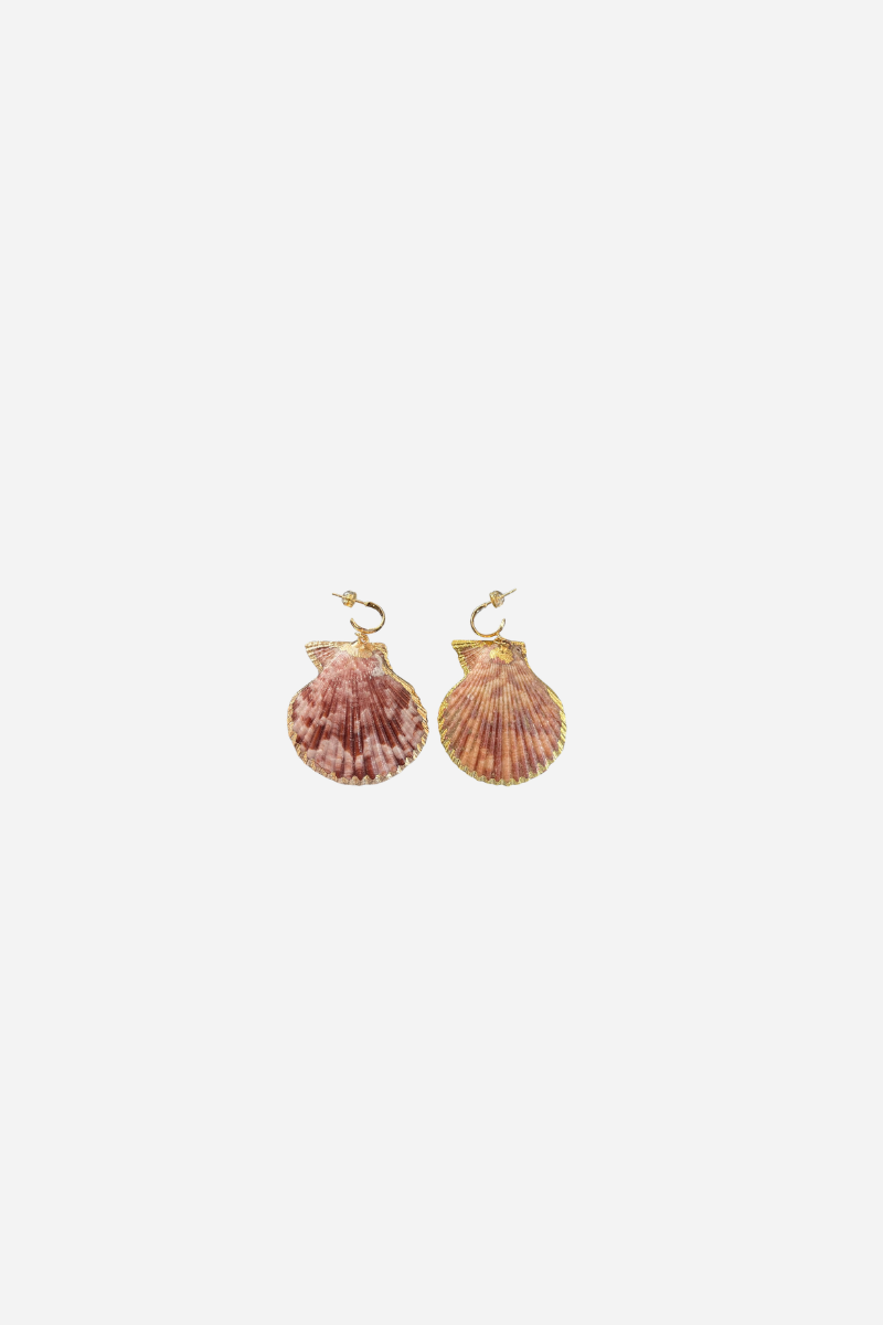 Lion Paw Shell Earring - Neutral
