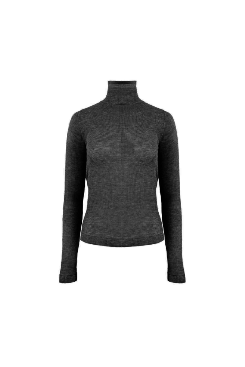 Nomia Sheer Knit Turtleneck