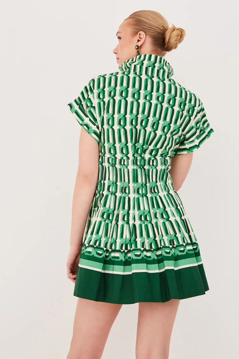 Nash Mini Dress