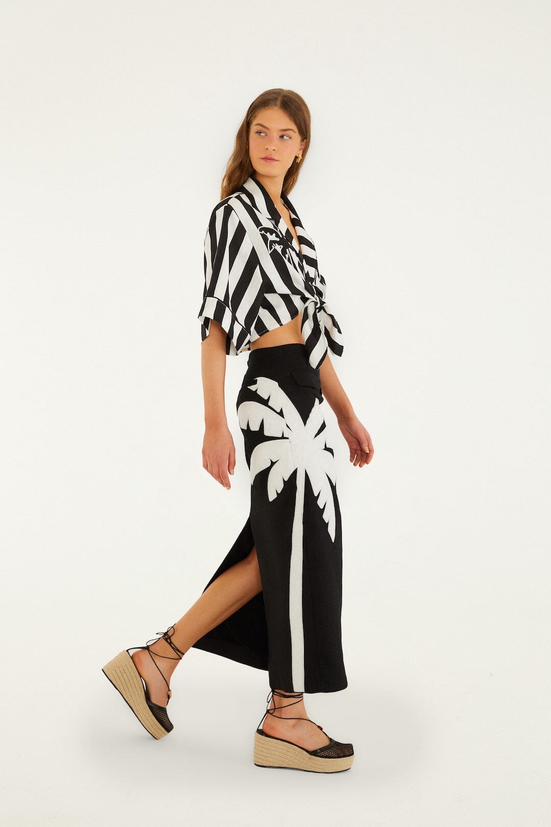 Spring Stripes Black Short Sleeve Crop Top