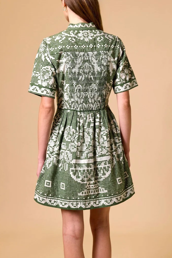 Starling Mini Dress