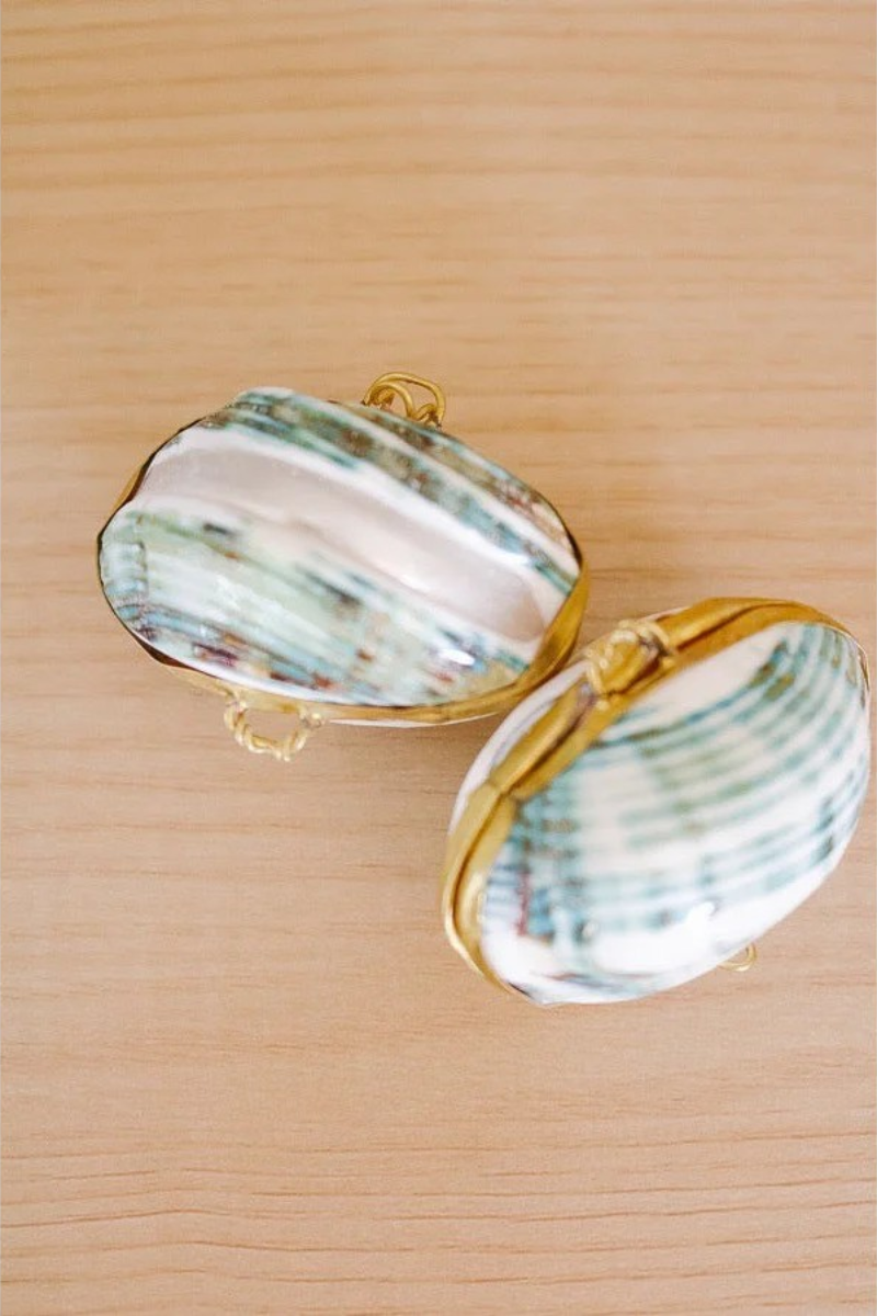 Pecten Shell Trinket Purse Necklace - Small