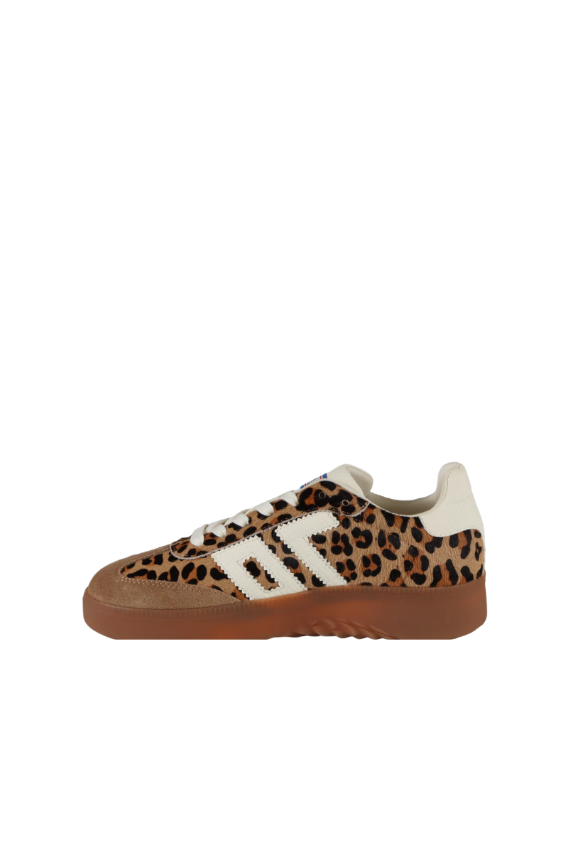 Back 70 Streetwear Boston P Sneakers Leopard