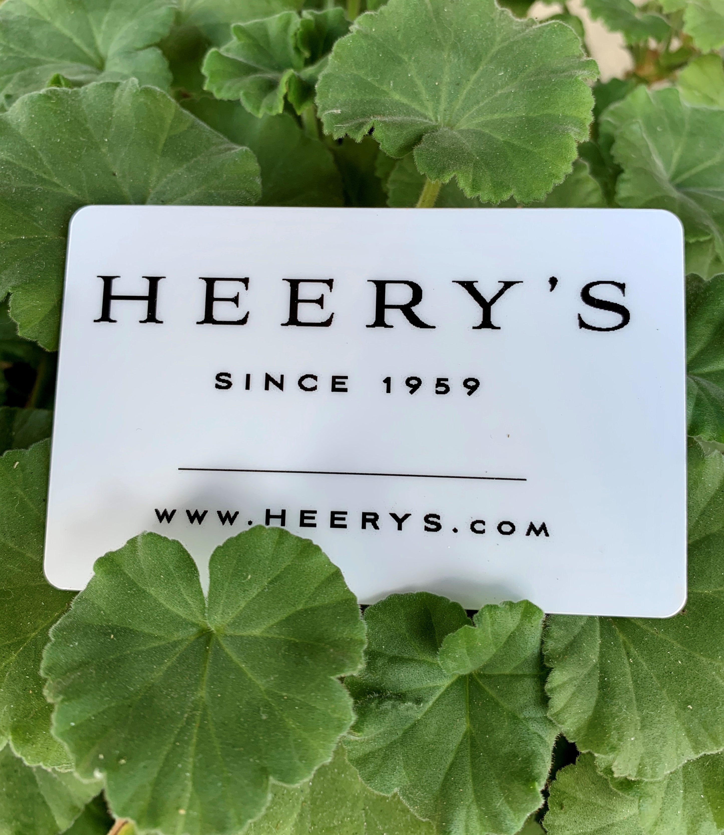 Heery's Clothes Closet Gift Card